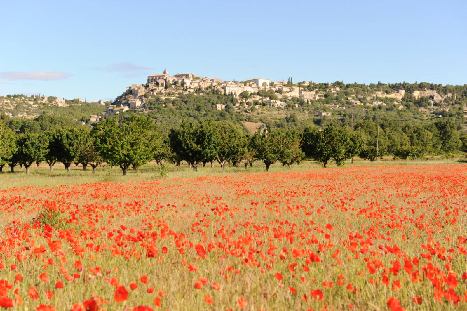 For sale - Undeveloped building plot with an area of 1,500 m² in a hamlet near Gordes.