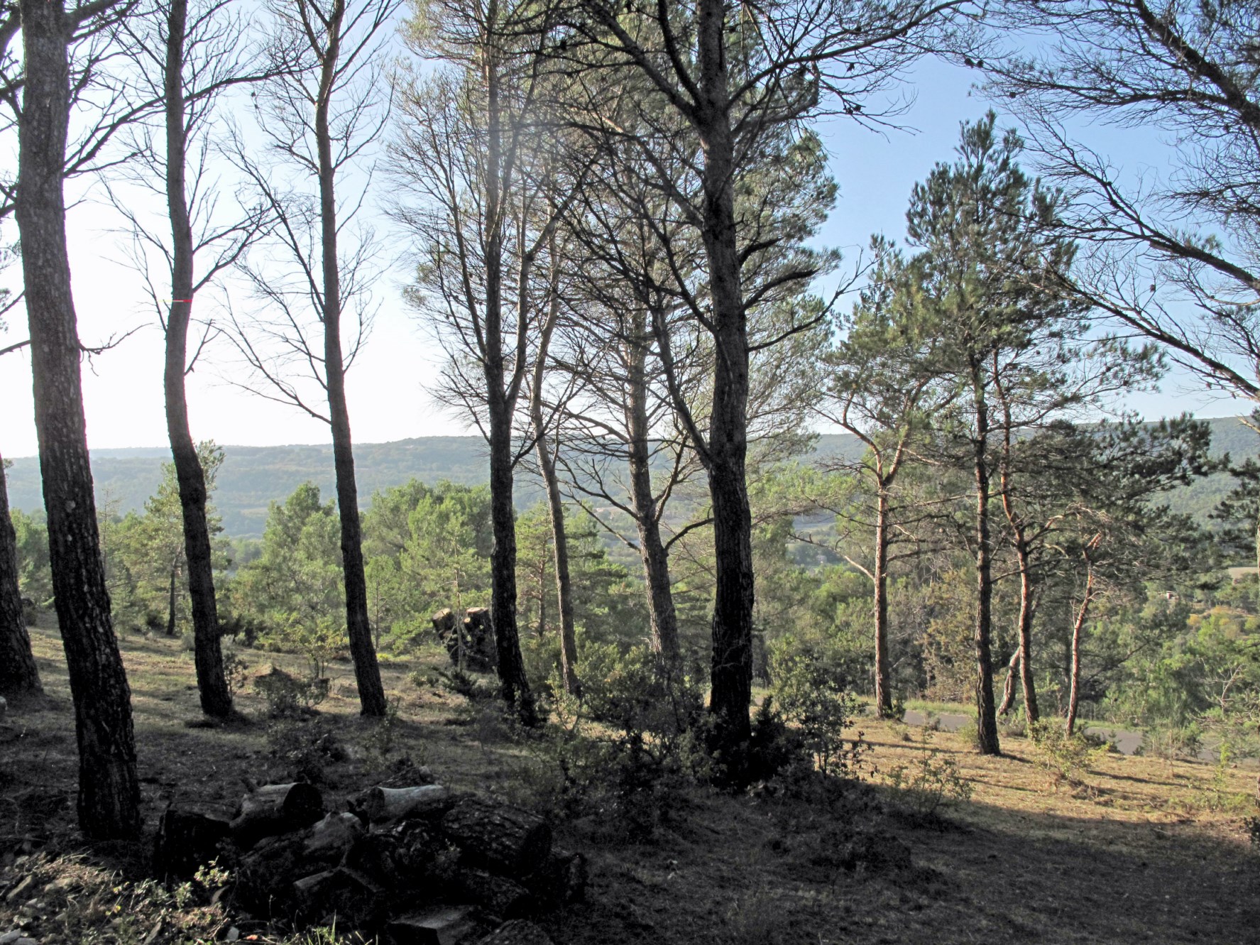Beau terrain à vendre par ROSIER
