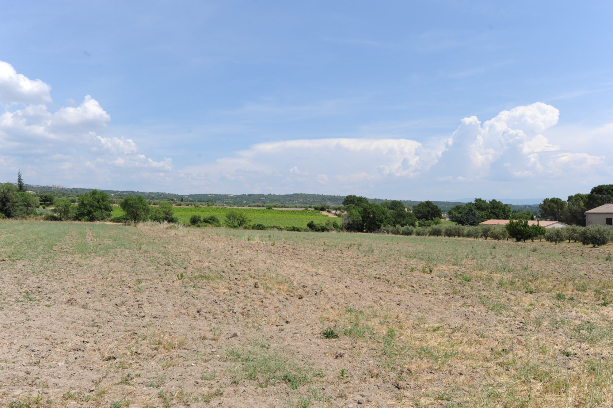 Terrain à bâtir à vendre en Luberon