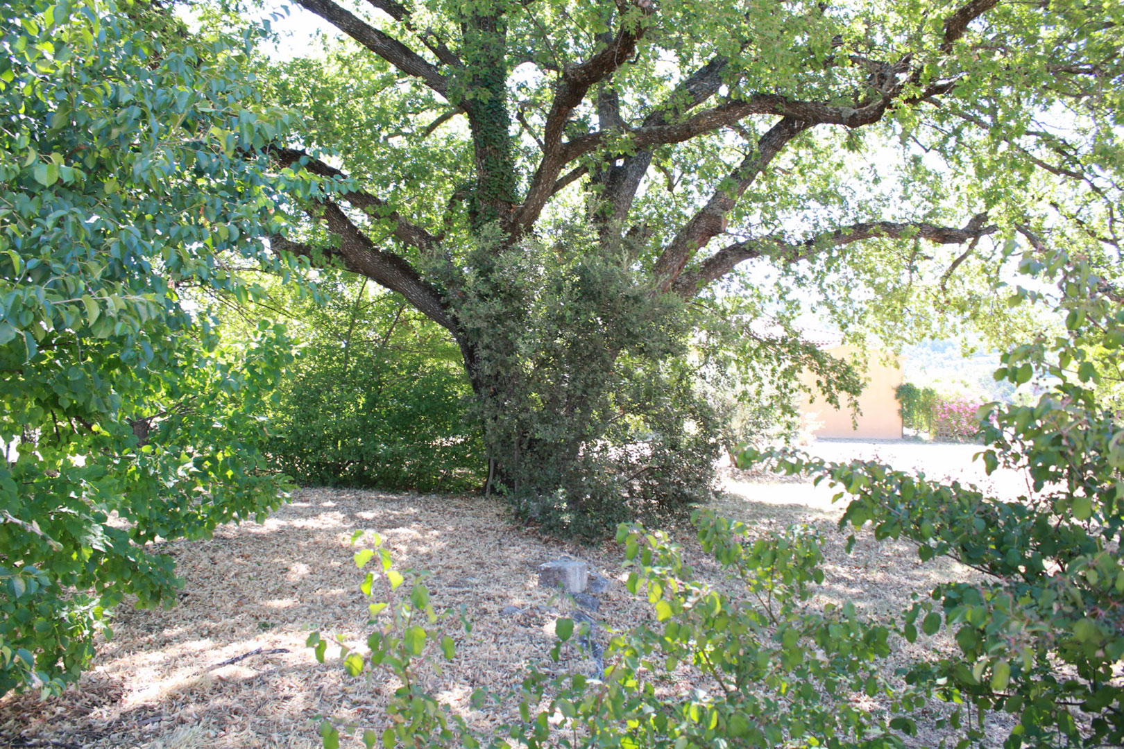 Constructible land for sale in a quaint hamlet in the heart of the Luberon