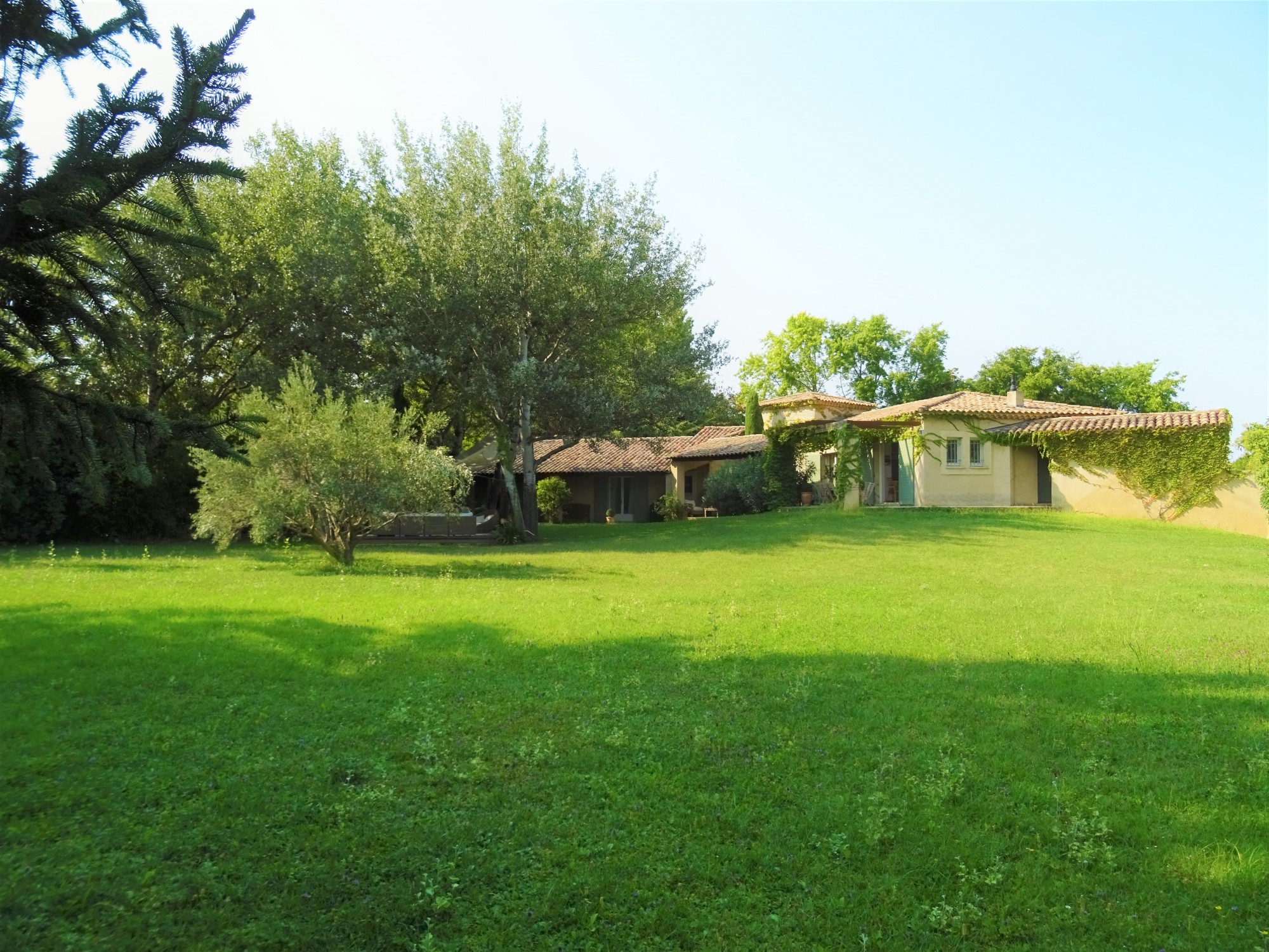 Avignon - Charming ground floor house in a green and calm space