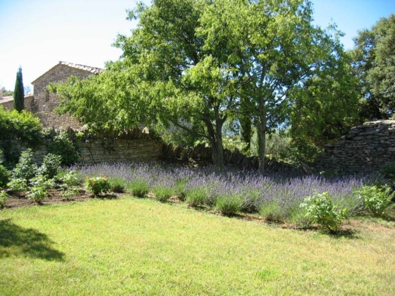 All the charm of Provence in this stone villa with pool and garden near the village of Gordes.