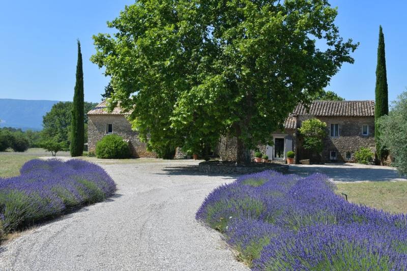 Authentic private stone hamlet with swimming pool and outbuildings set on 6 hectares of Provence in Gordes.