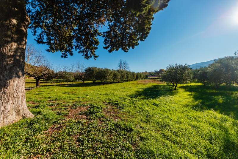 For sale: 18th-century mansion in need of restoration on 1.6 hectares of south-facing land near Oppède in the heart of the Luberon.