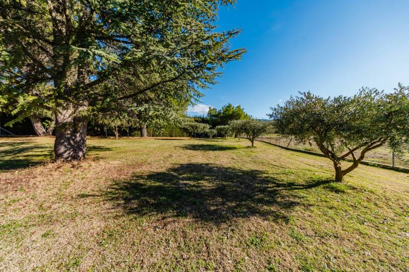Garden planted with olive trees and Mediterranean species, benefiting from a borehole and the Carpentras canal for irrigation.