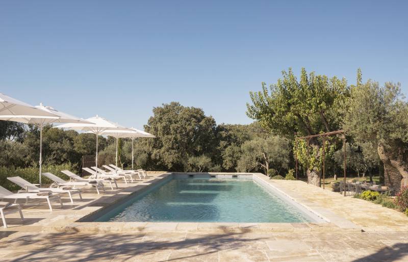 Stunning mas renovated with modernity and authentic charm, near the village of Gordes with pool and high-end amenities.