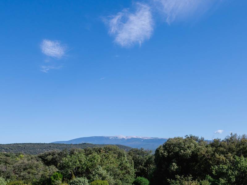 Wooded grounds with century-old oaks, providing multiple relaxation areas in total harmony with the local flora and fauna.