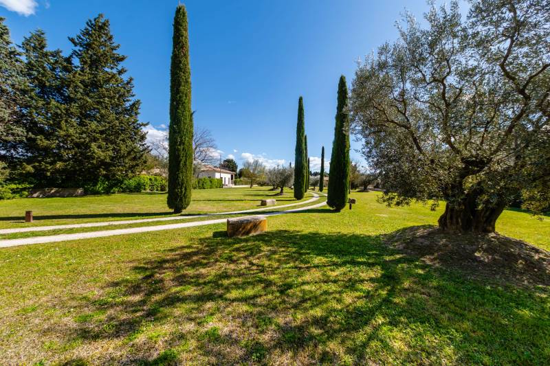 Elegant avenue of Florentine cypresses and ancient olive trees leading through a 4600 sq. m landscaped park.