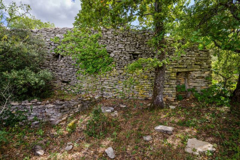 Sale in Venasque: This property is a true gem of Provençal architecture, offering an exceptional living environment on nearly 22 hectares, with a panoramic view of the Ventoux.