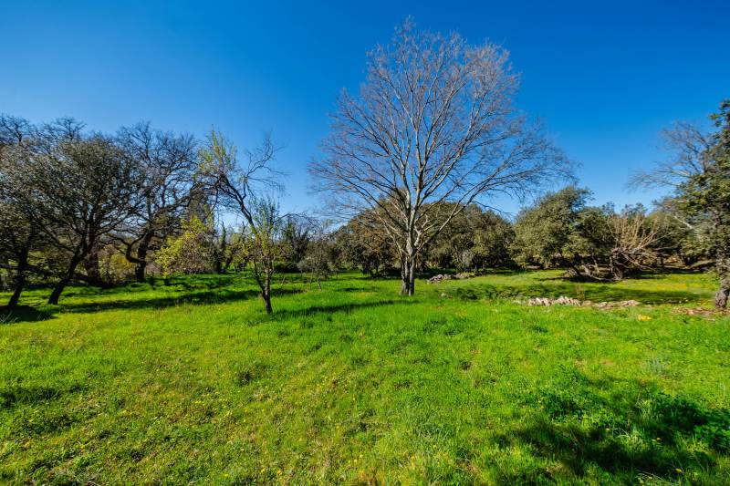 Traditional house just minutes from a charming hamlet of Gordes, set in a peaceful and highly sought-after setting.