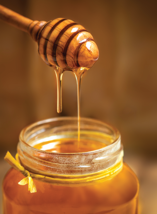 Honey, the new liquid gold—yet its history dates back thousands of years