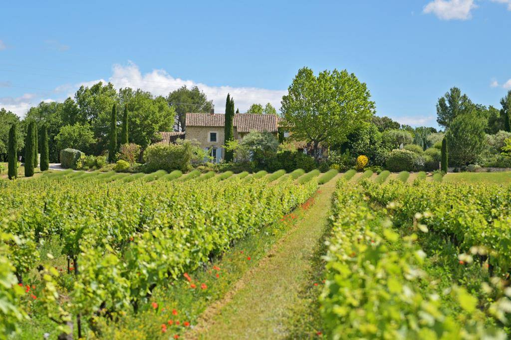 Authentic renovated farmhouse on more than 1.5 hectares facing the Luberon