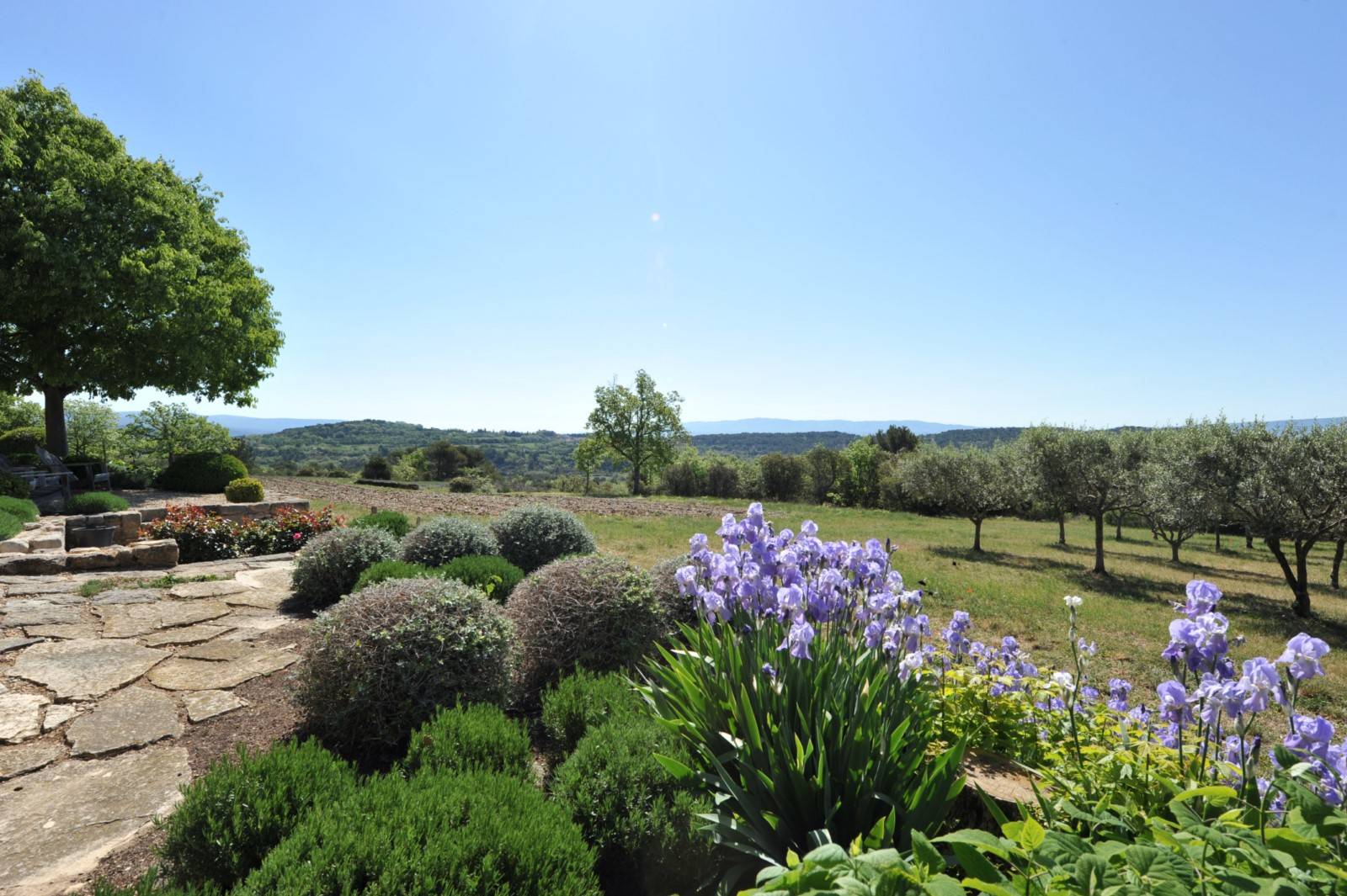 in the heart of the Luberon, authentic Provencal Mas surrounded by lavender and olive trees