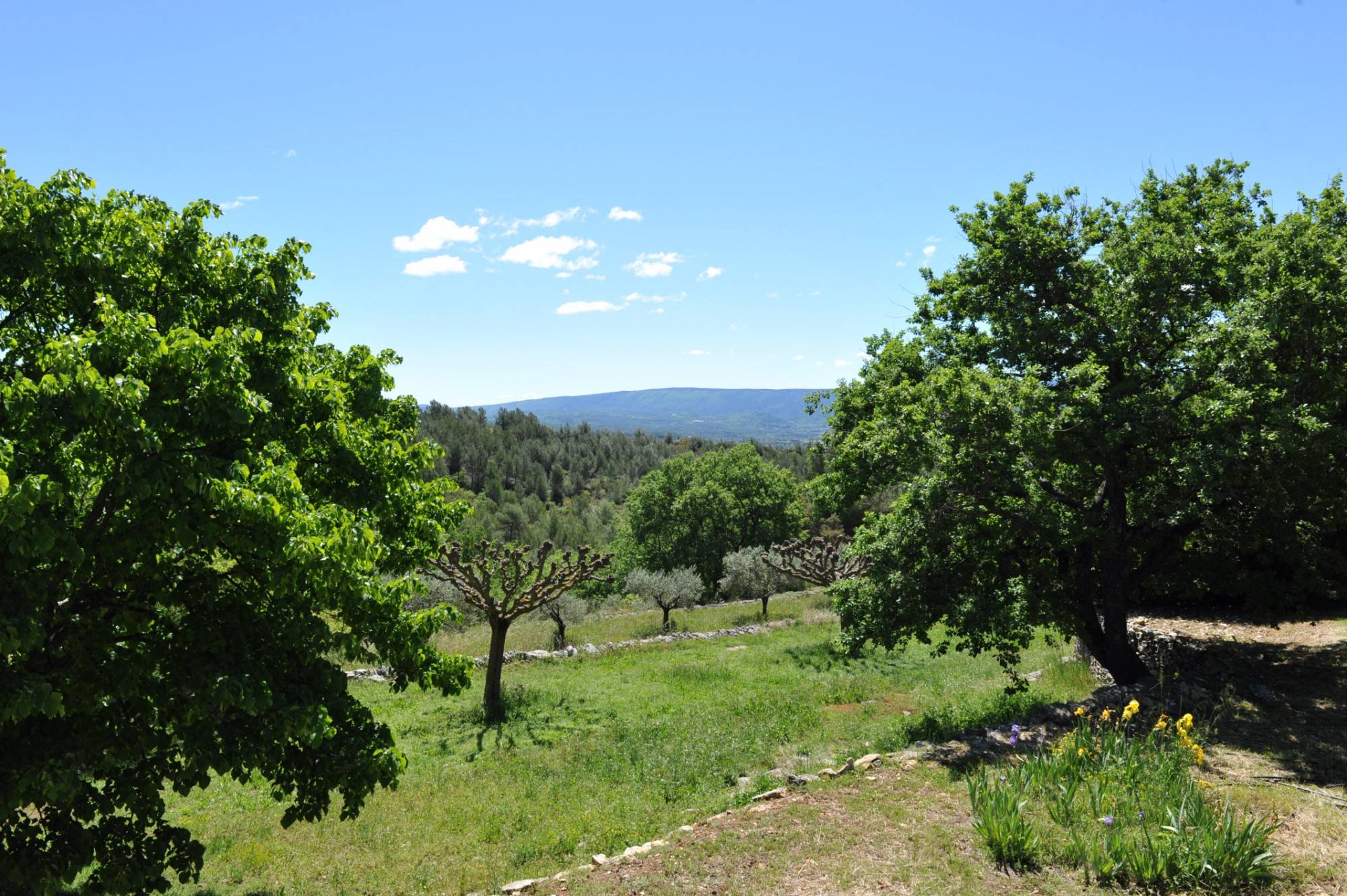 Close to Gordes, unique property full of character set on 25 hectares