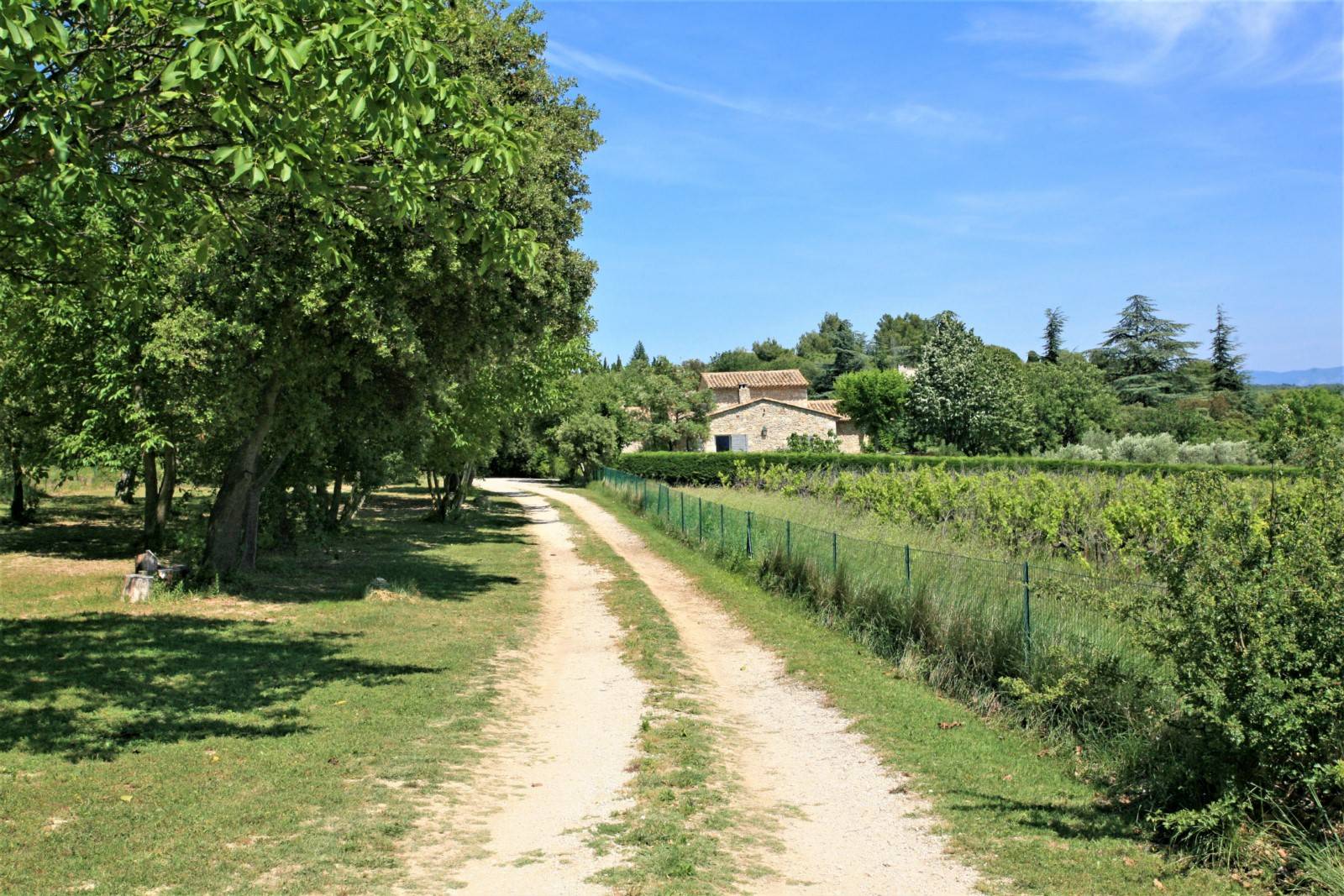 Summer rental, Luberon, in Gordes, stone house in a natural environment 