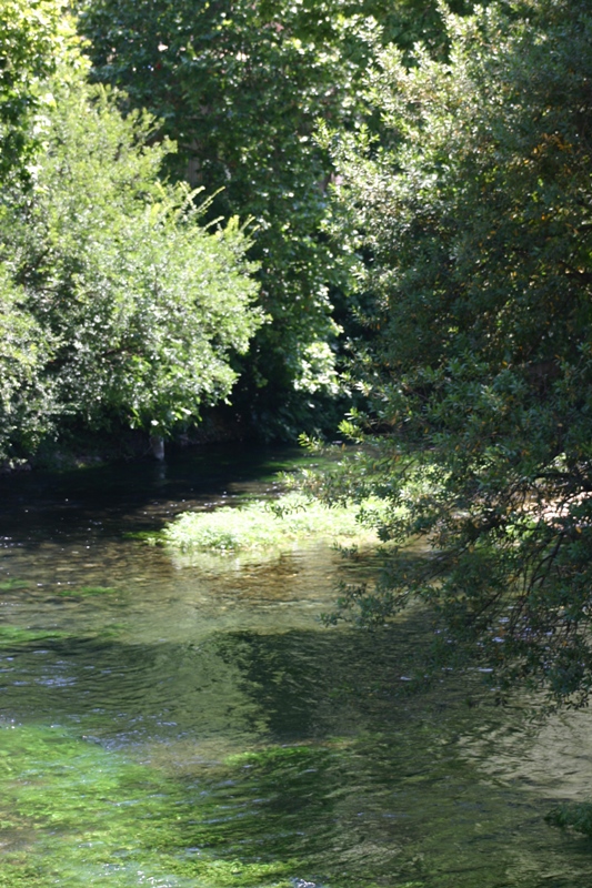 Paisible écoulement de l'eau