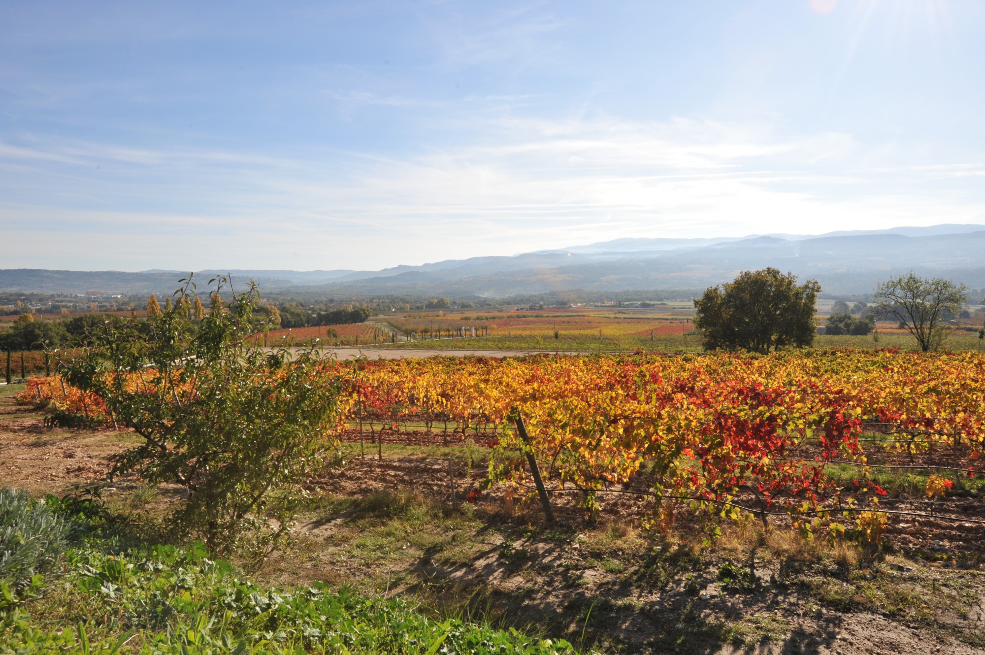 Le Luberon et son agriculture