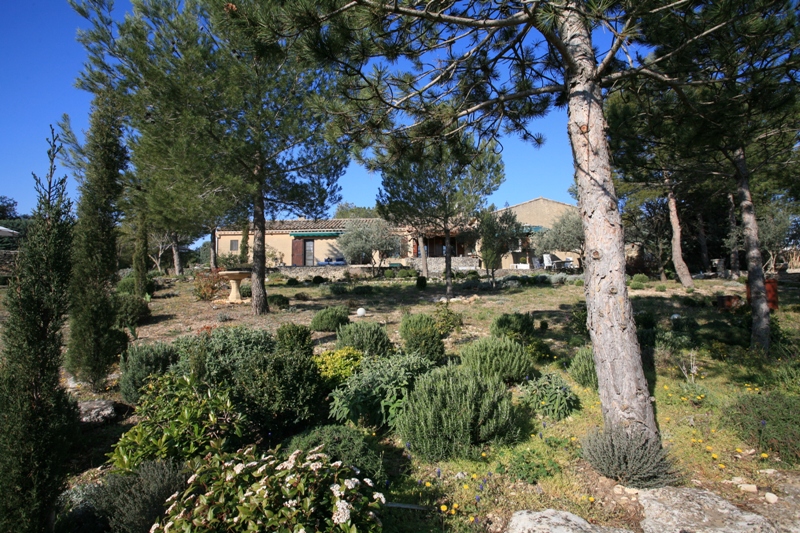 House near Gordes on 1 acre in terraces