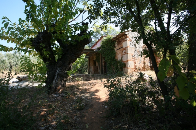 Luberon, shed for sale in a quiet and charming place