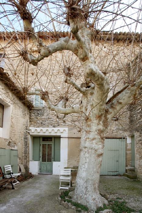 more than 600 m² of a middle age castle in Luberon with garden and swimming pool