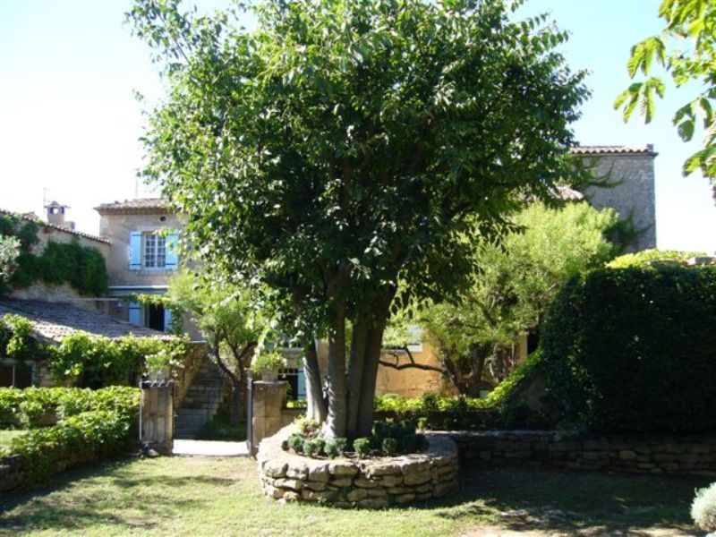 17th century mas in Luberon with park