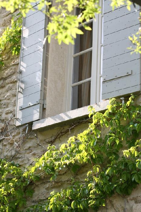 Mas in Luberon, in the heart of a nice village, with garden and swimming pool