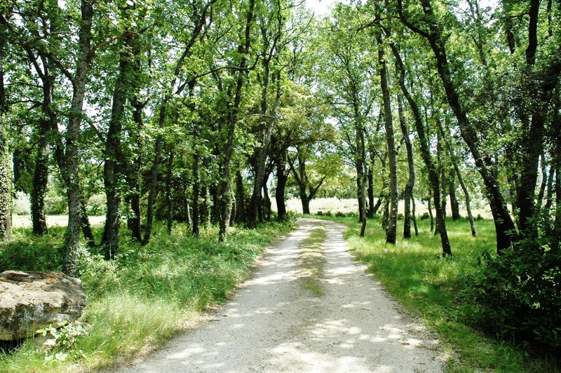 Mazet in Luberon, a real paradise in Provence