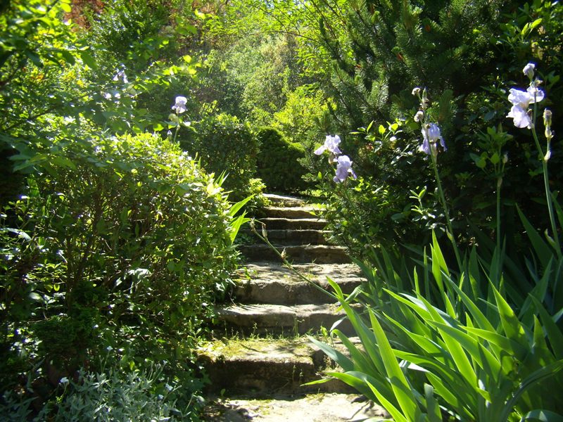Genuine and renovated farmhouse of the 19th century in Luberon for sale with Rosier
