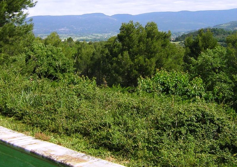 In Luberon, with breathtaking views, nice house with swimming pool and more than 2, 5 acres of grounds.