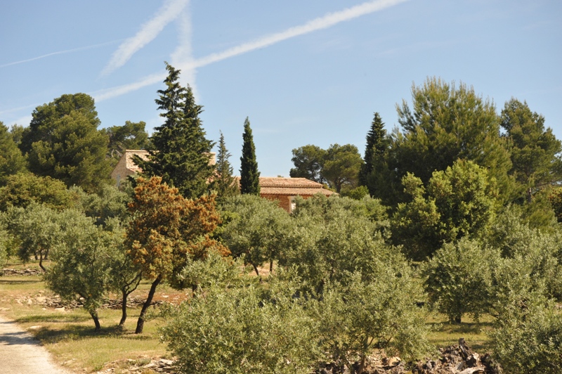 For sale in Gordes in Luberon, property with an amazing view comprising an old renovated sheepfold and 2 outbuildings on more than a hectare of land.