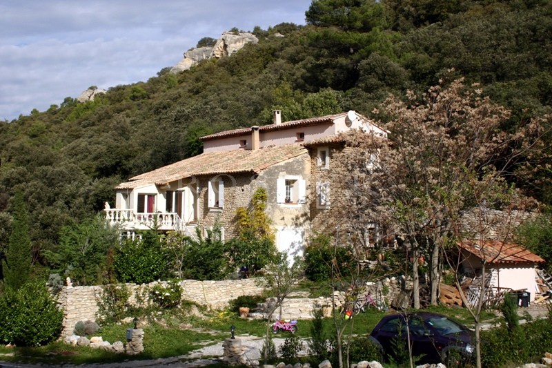 Near Monts de Vaucluse, for sale, renovated old stone XVIthe century house with a park of 3900 m², swimming pool, possibility of B&B