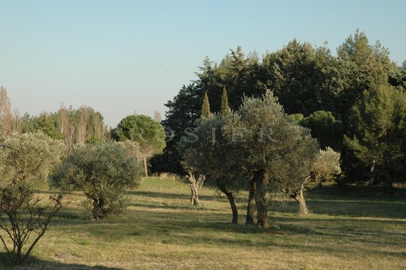 Stone house in Gordes on 9512 m² of charming land