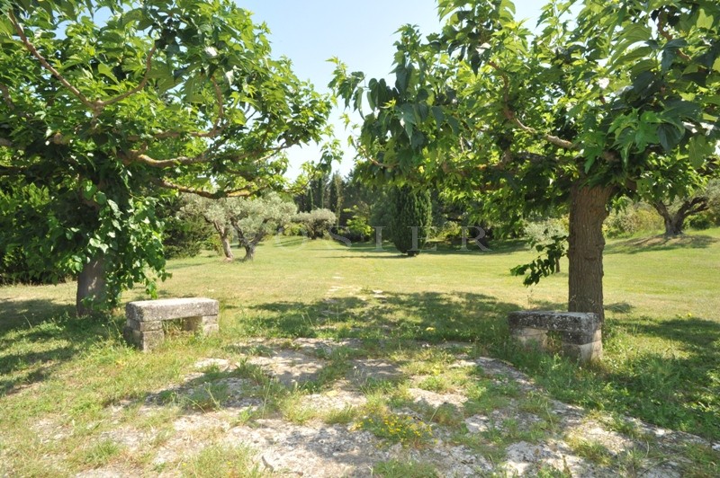 Stone house in Gordes on 9512 m² of charming land