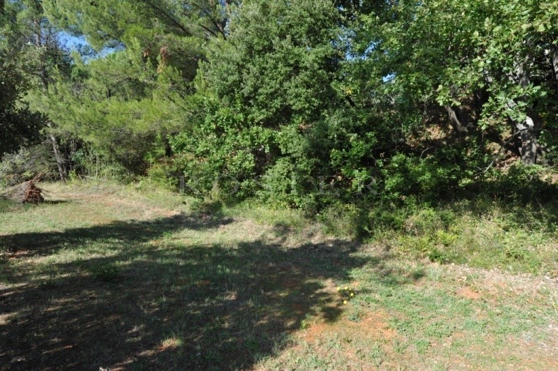 Beautiful plot of land of 3,500 square metres with construction permit for sale close to one of the prettiest villages in the south of France