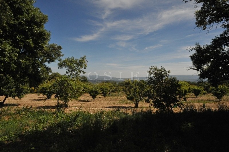 Facing the Luberon, in a very peaceful and dominant position, an extremely lovely piece of constructible land of 5880 m².