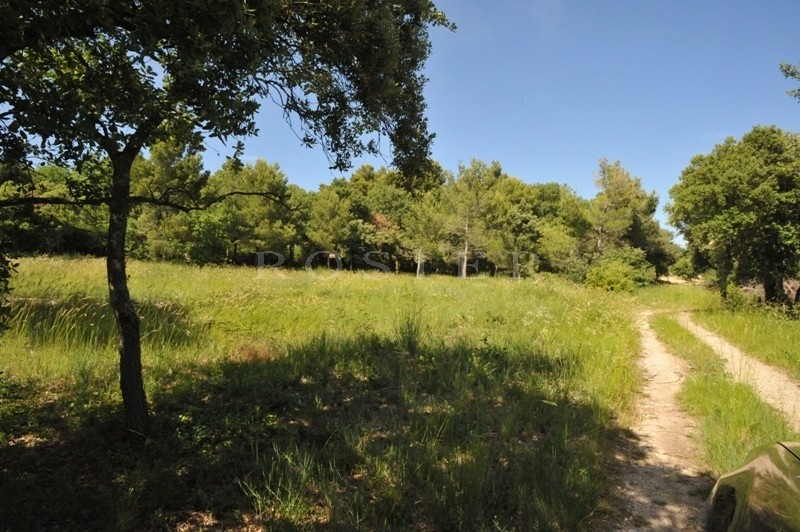 Facing the Luberon, in a very peaceful and dominant position, an extremely lovely piece of constructible land of 5880 m².