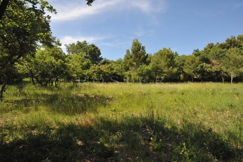 Facing the Luberon, in a very peaceful and dominant position, an extremely lovely piece of constructible land of 5880 m².