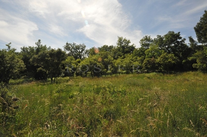 Facing the Luberon, in a very peaceful and dominant position, an extremely lovely piece of constructible land of 5880 m².