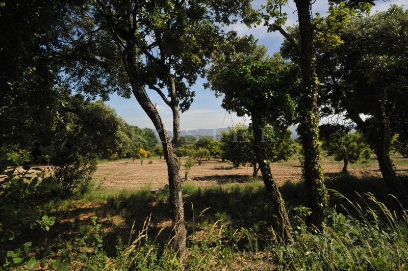 Facing the Luberon, in a very peaceful and dominant position, an extremely lovely piece of constructible land of 5880 m².