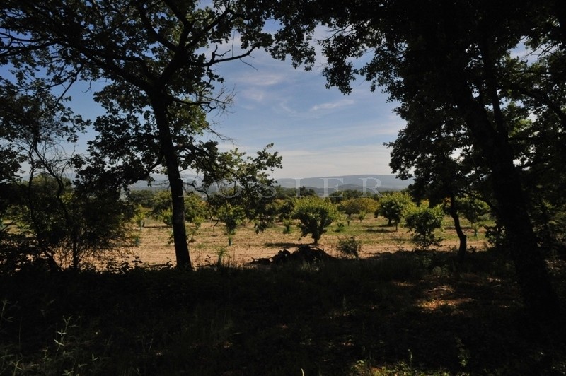 Facing the Luberon, in a very peaceful and dominant position, an extremely lovely piece of constructible land of 5880 m².