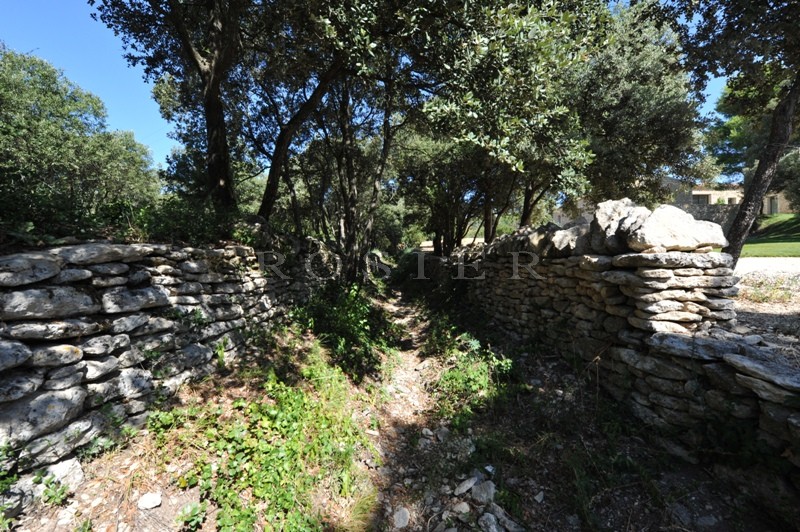 Provence, Luberon, near Gordes, for sale, provençale property, a swimming pool in a garden of around 6 500 m²