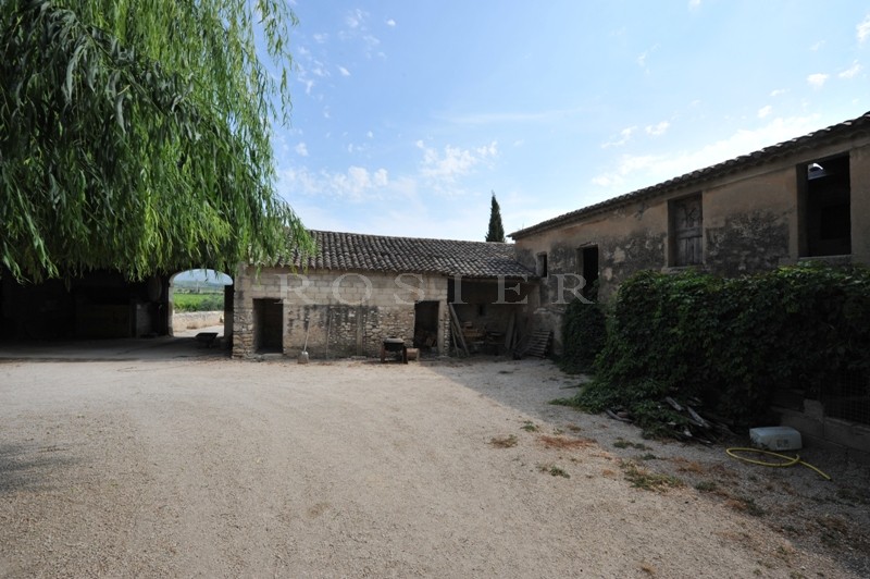 Vineyard for sale in Luberon over 30 hectares