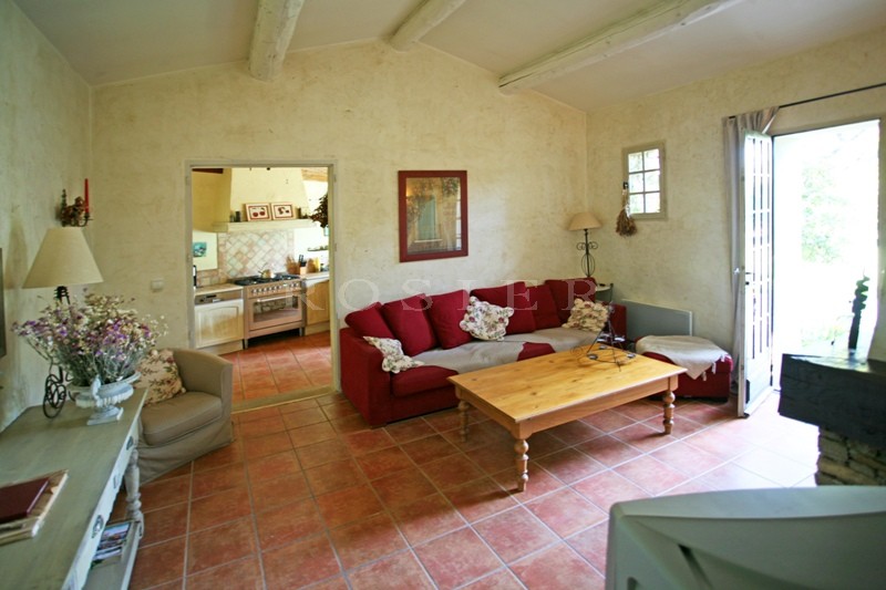 For sale, in Pays des Sorgues, superb stone property with guests houses and 2 swimming pools on lovely grounds