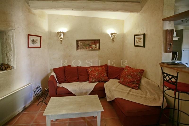 For sale, in Pays des Sorgues, superb stone property with guests houses and 2 swimming pools on lovely grounds