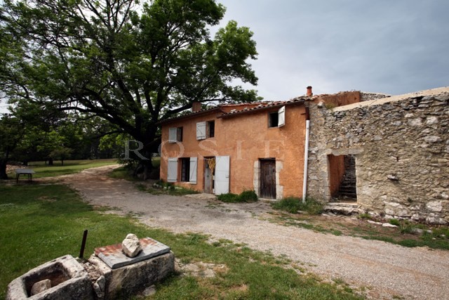 In Ventoux, in the forest, for sale, sheepfold of XIXème siècle on 10 hectares of land, for nature's lovers 