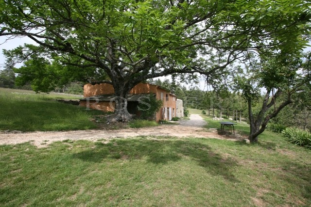 In Ventoux, in the forest, for sale, sheepfold of XIXème siècle on 10 hectares of land, for nature's lovers 