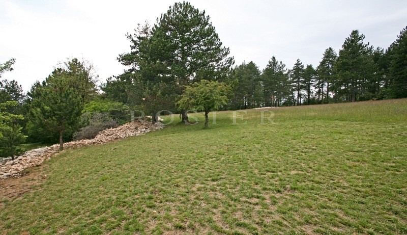 In Ventoux, in the forest, for sale, sheepfold of XIXème siècle on 10 hectares of land, for nature's lovers 