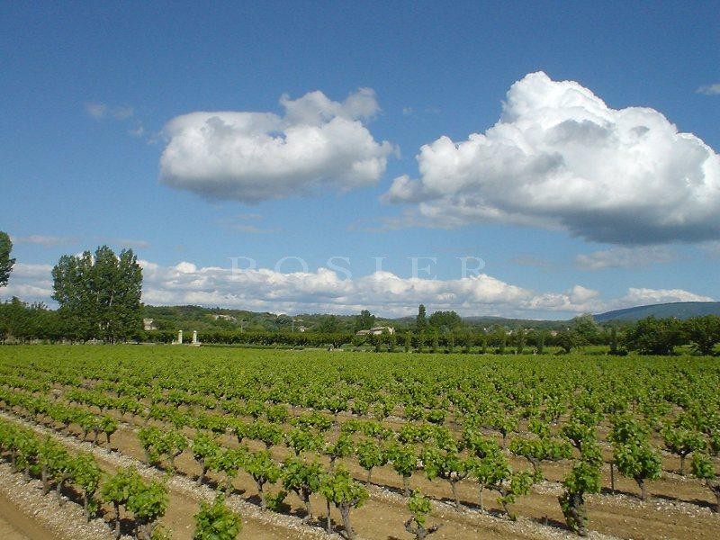 Luberon, for sale, exceptional private hamlet in the Luberon, 3 houses with pool on a park of 1,4 hectare