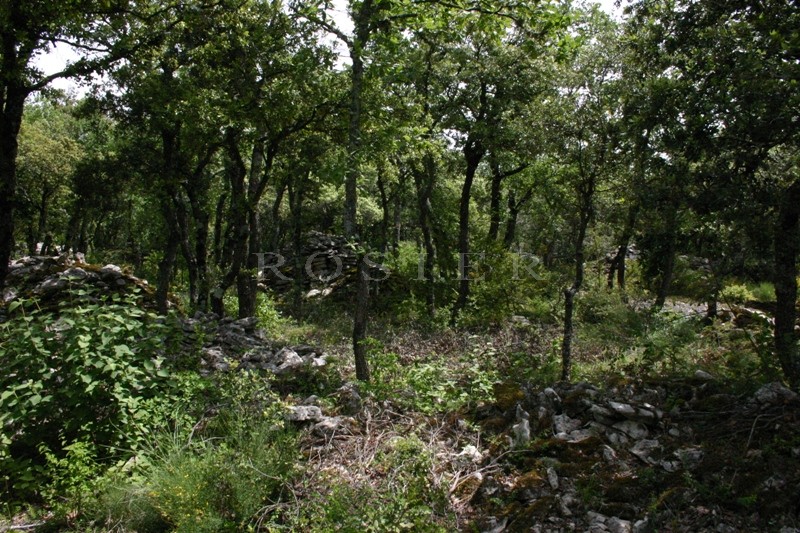 Beautiful plot close to Bonnieux, Luberon – Provence