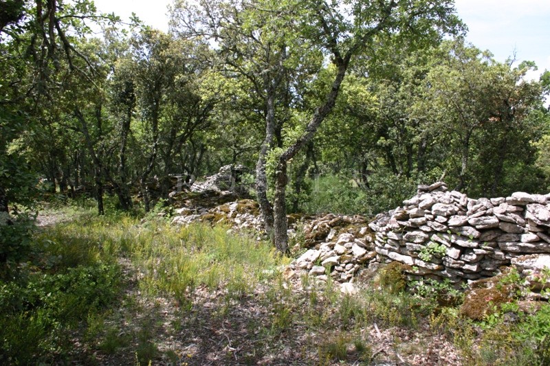 Beautiful plot close to Bonnieux, Luberon – Provence